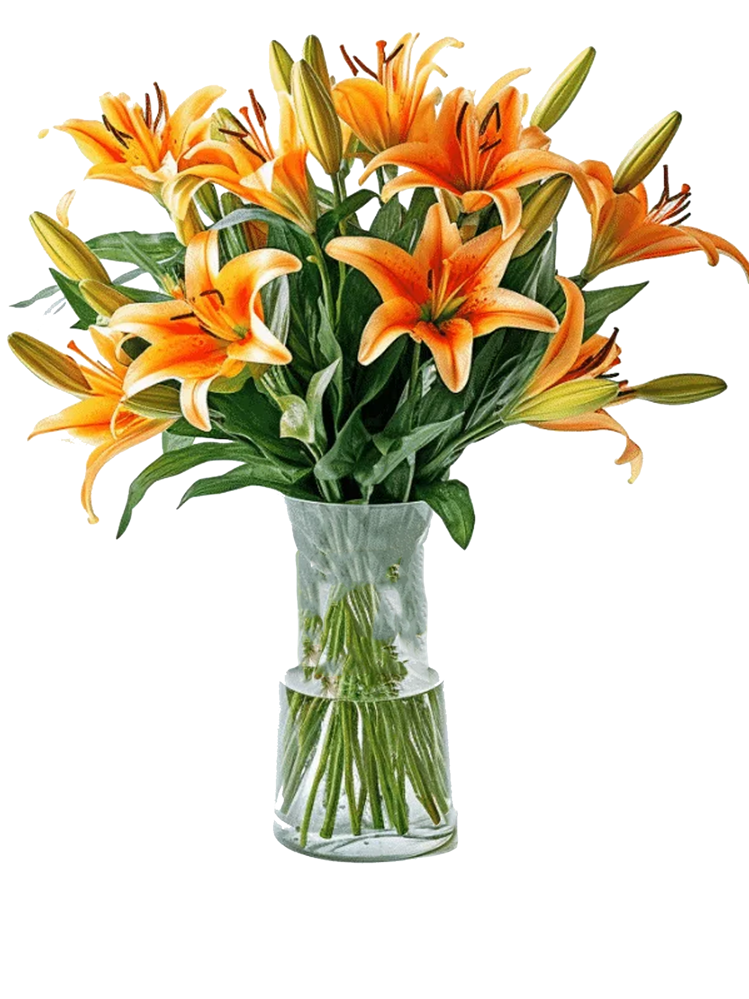 Asiatic Lillies
